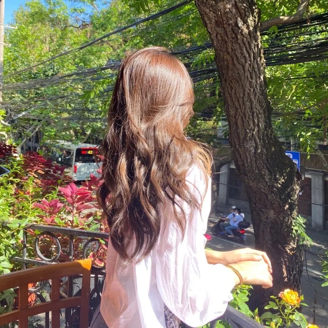 鲨胆小英雄